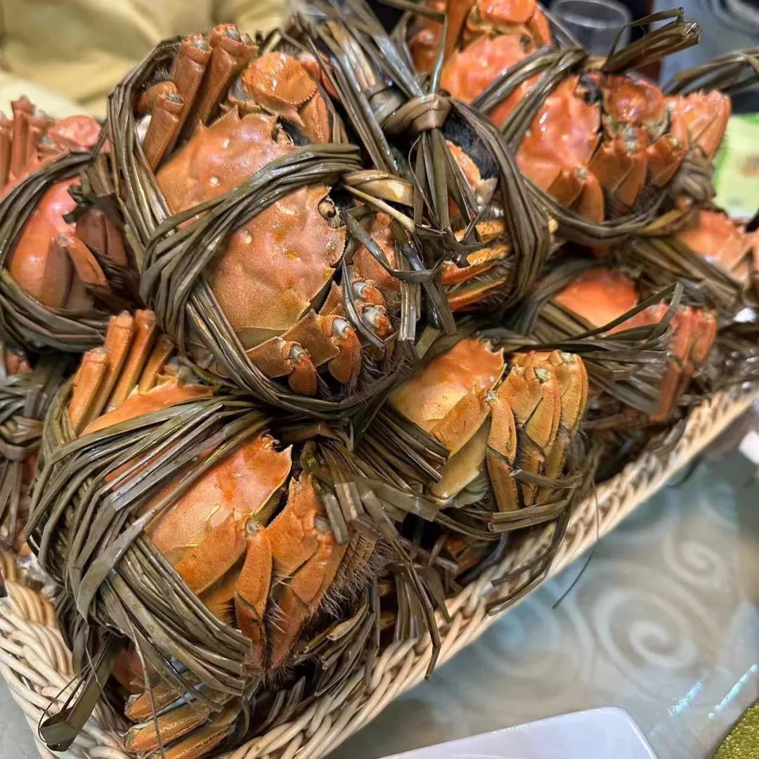 1700530179761234.jpg 640 (8).jpg